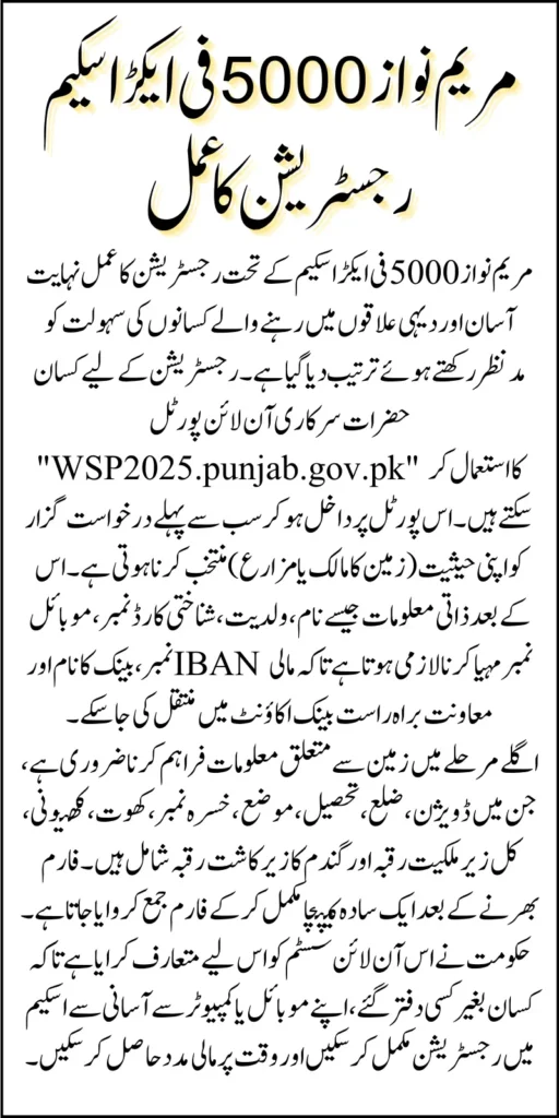 Maryam Nawaz Wheat Support 5000/Acre For Non-Profitable Farmers Know Full Registration Guide