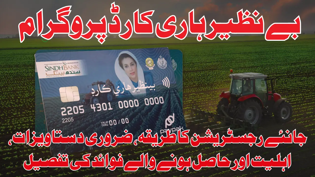 Benazir Hari Card Phase 3 2025 Registration Has Been Stated For Know Full Application And Requirements Details
