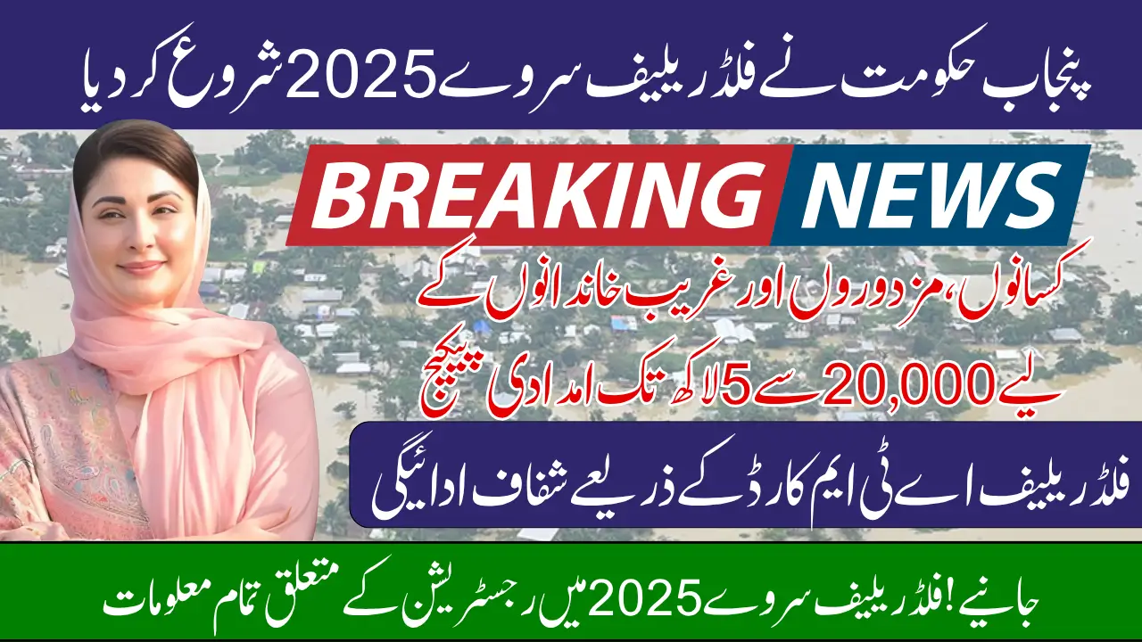 Punjab Flood Relief Survey 2025 Has Been Started At Door-To-door Know Full Registration And Benefits Details