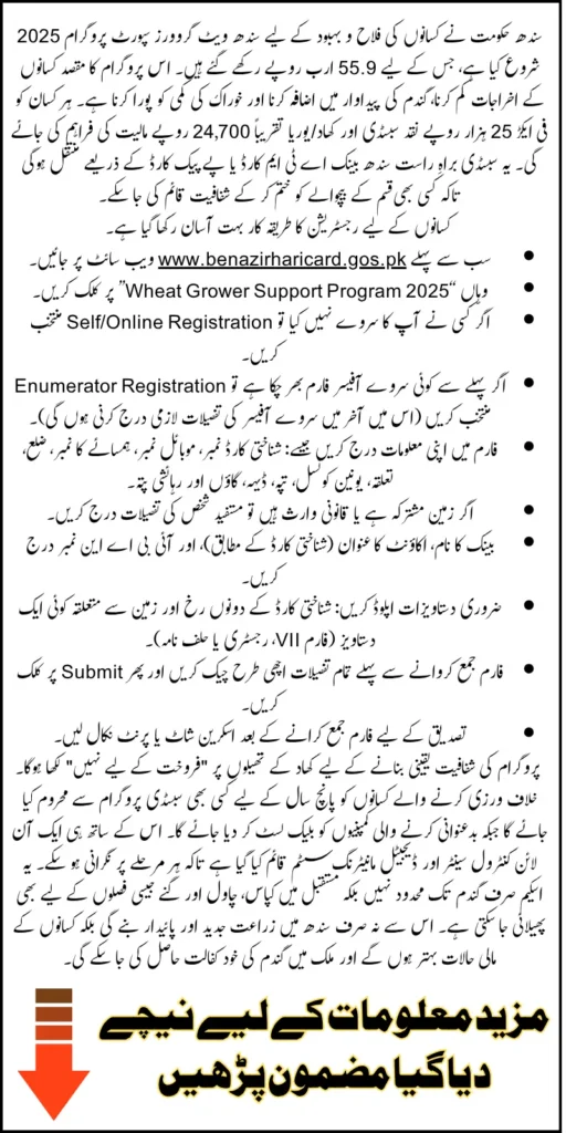 Sindh Wheat Growers Support Programme 2025 Has Started Know Step-by-Step Online Registration And Key Details